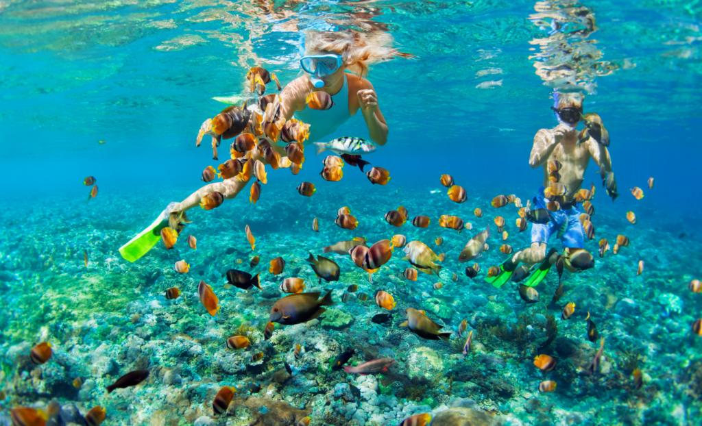 Snorkel and Dive NSW