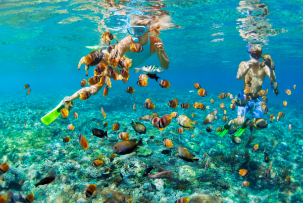 Snorkel and Dive NSW