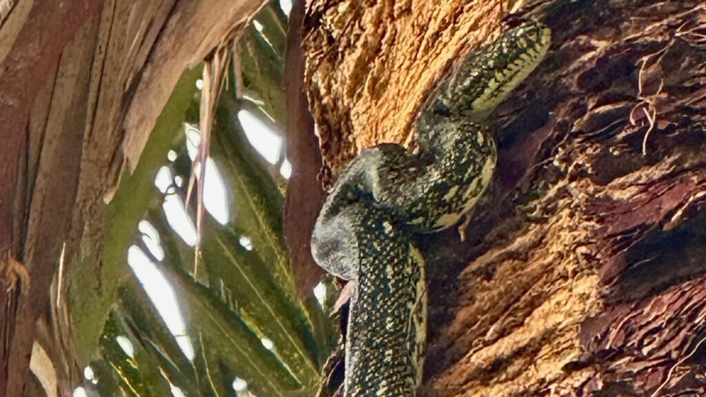 15 Wellness Day Riviera